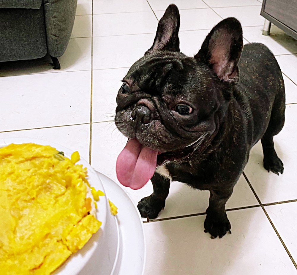 比比(bibi)的照片