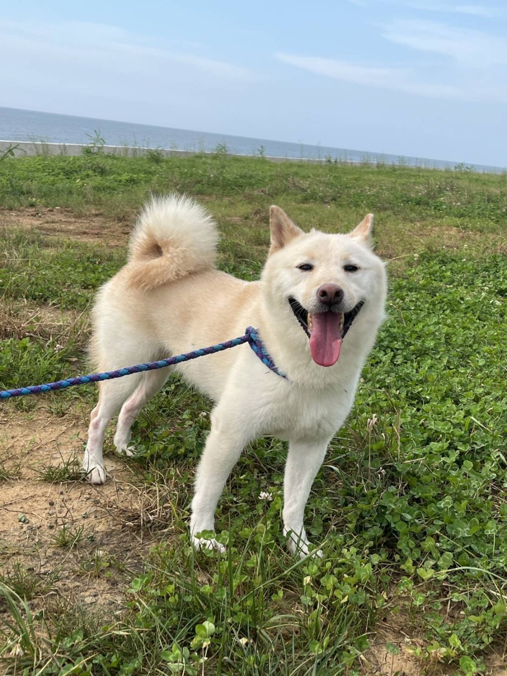 Hugo的照片