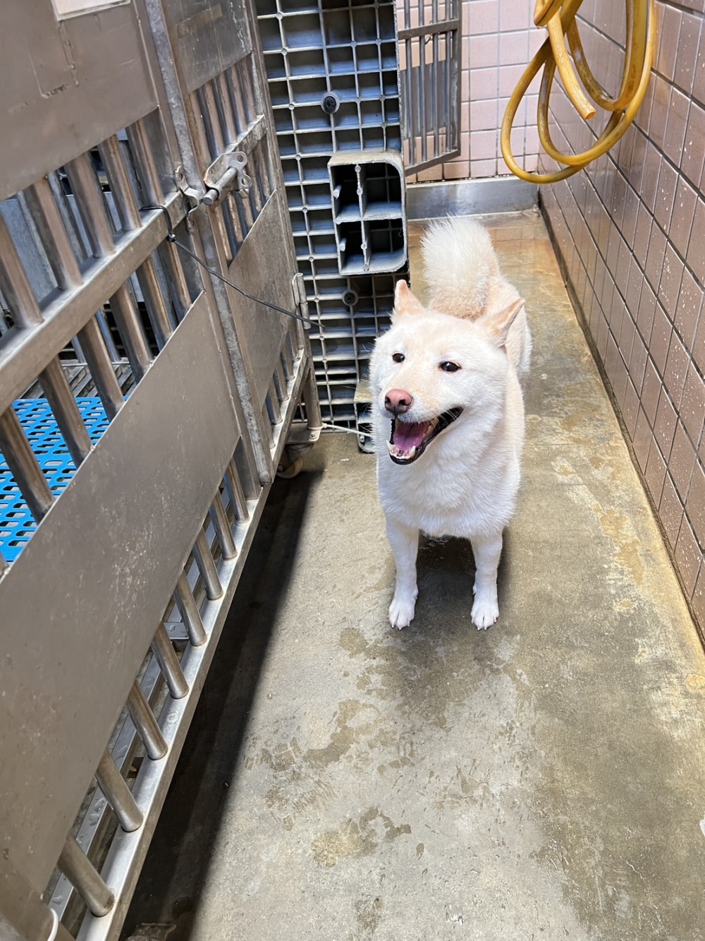 Hugo的照片