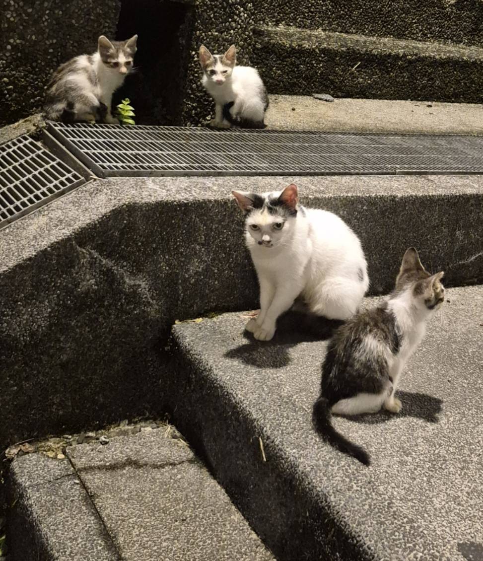 無的照片