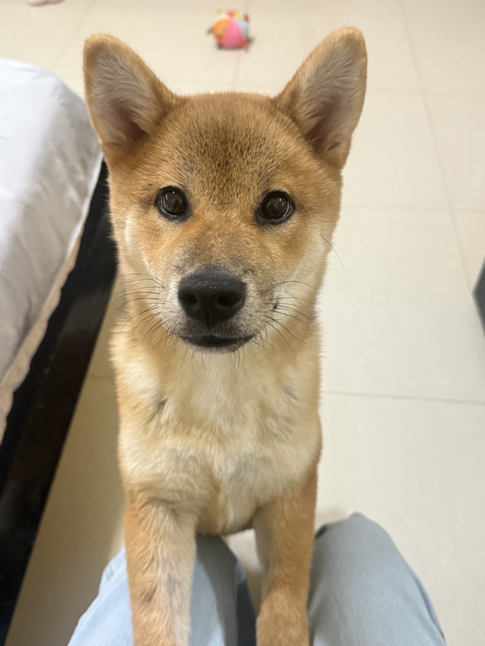 yuji的照片