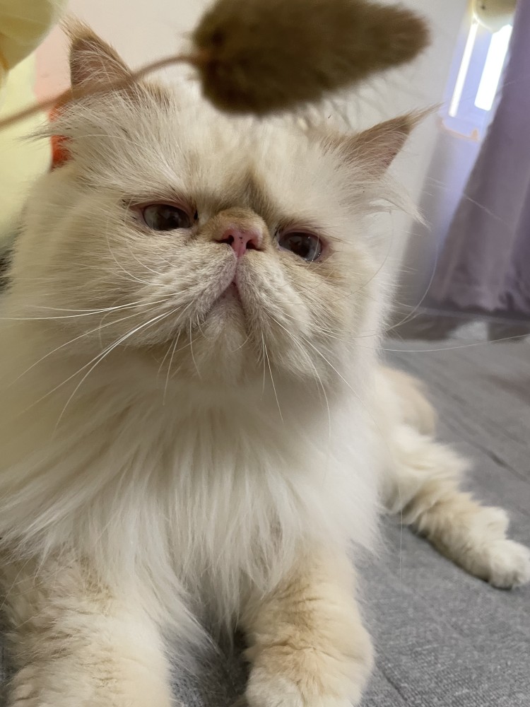 優咪的照片