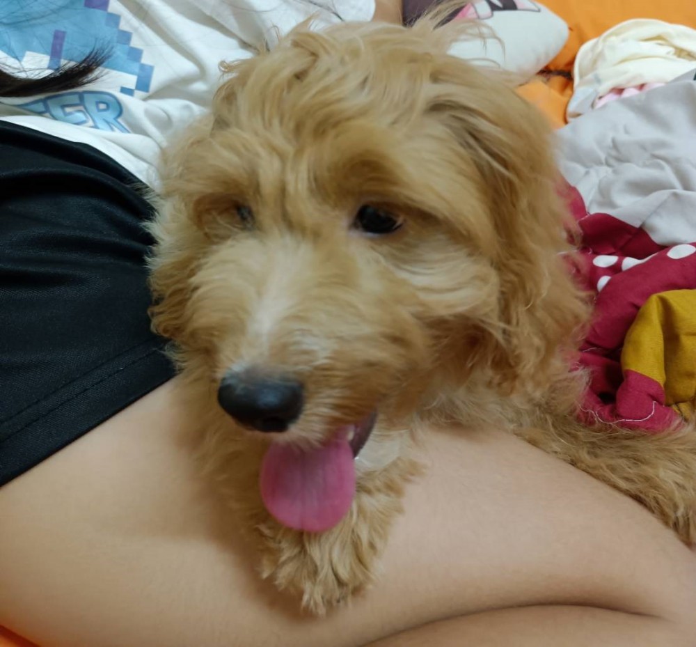 Mosi的照片