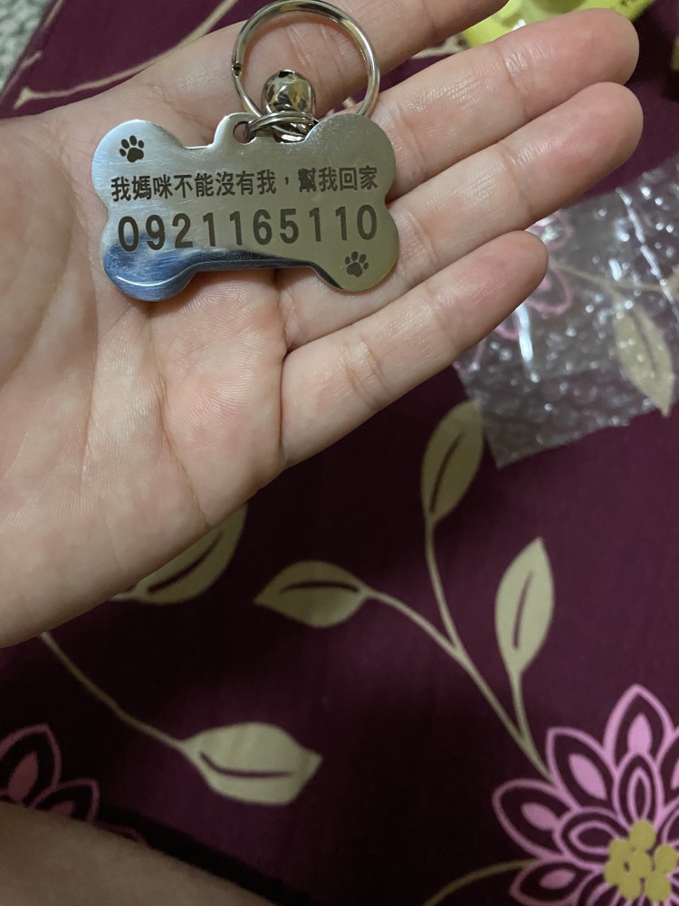 阿鼻的照片