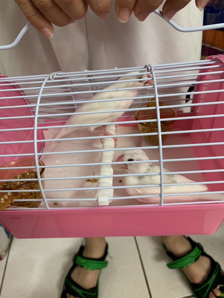 財財的照片