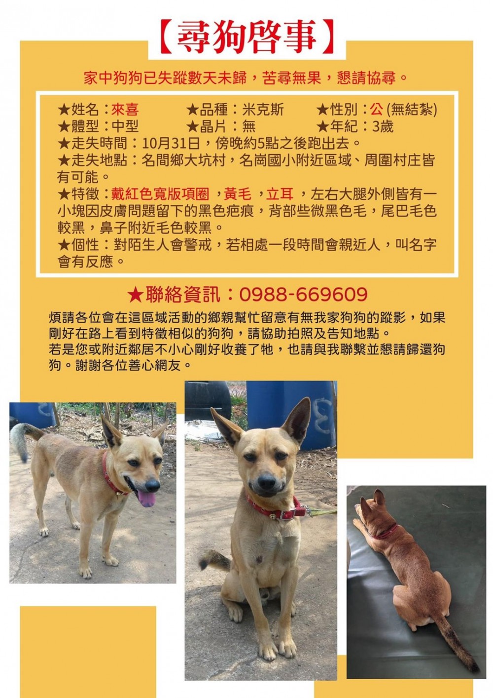 來喜的照片