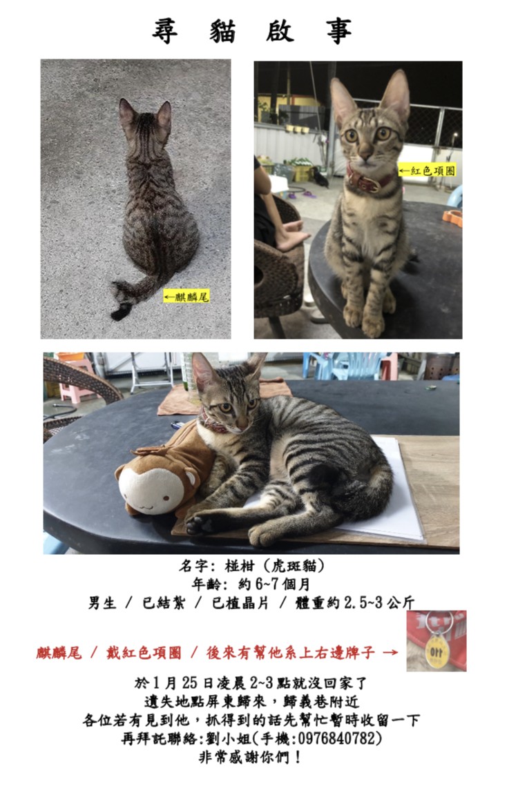 椪柑/柑柑