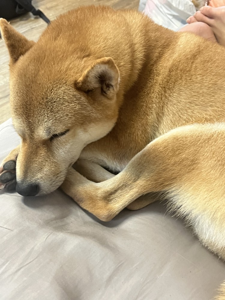 QQ