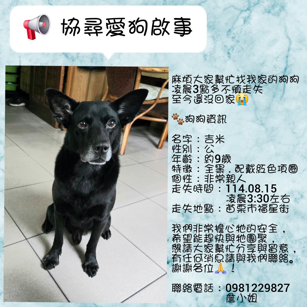 吉米