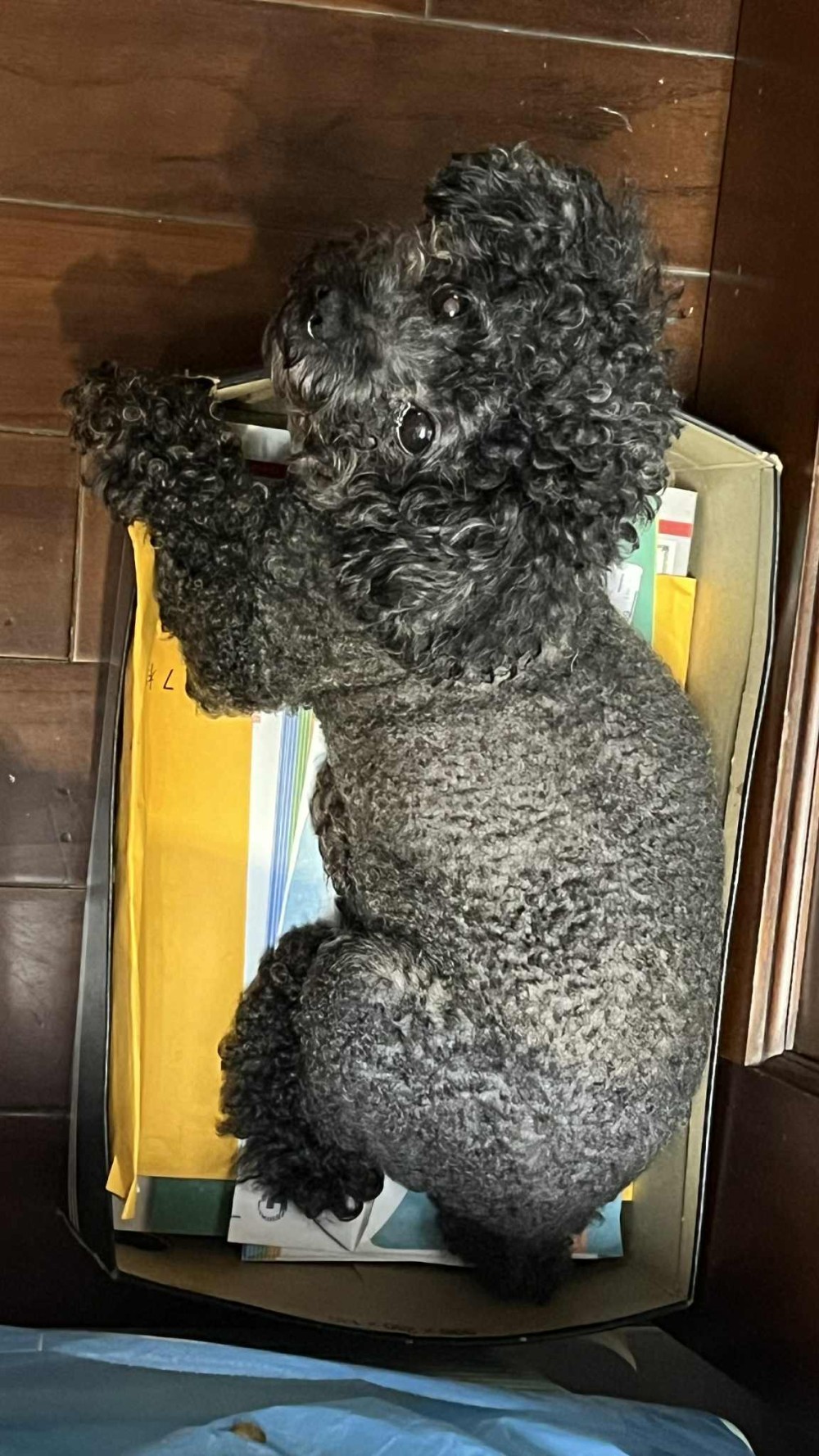 現金的照片