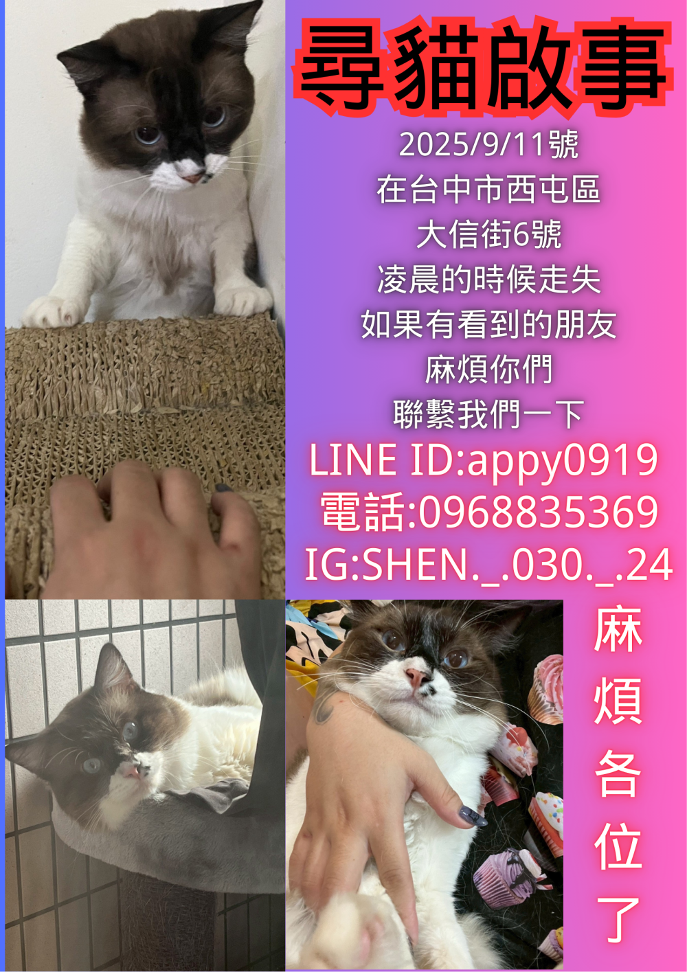 阿肥(台語)
