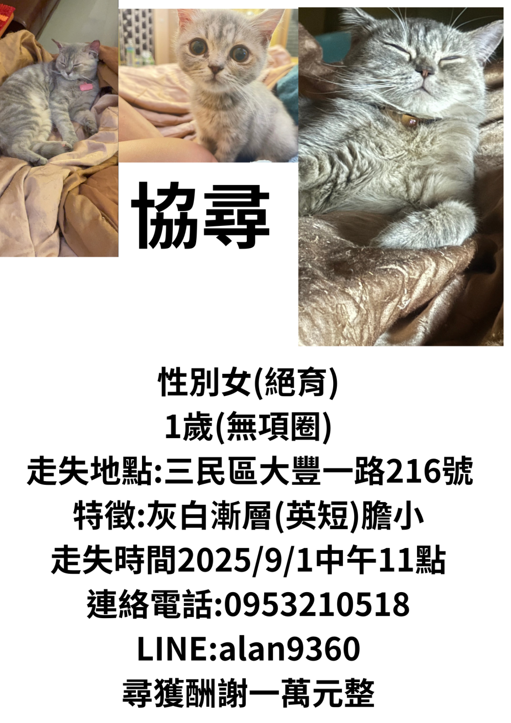 錢錢