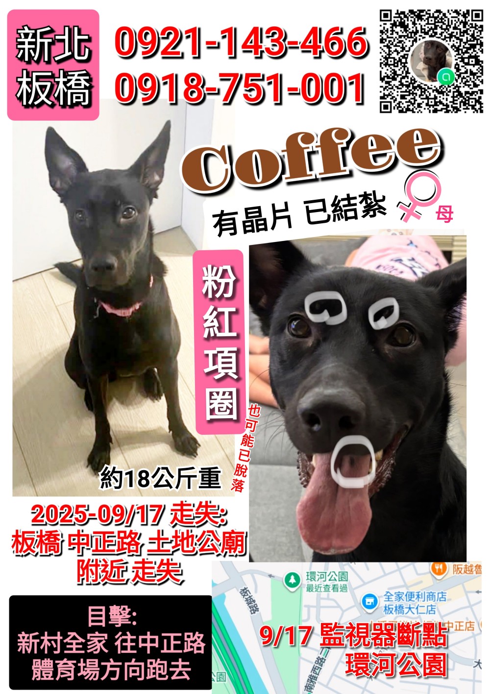 Coffee的照片