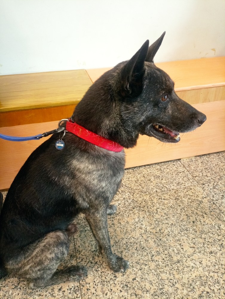 肉丸（台語）的照片