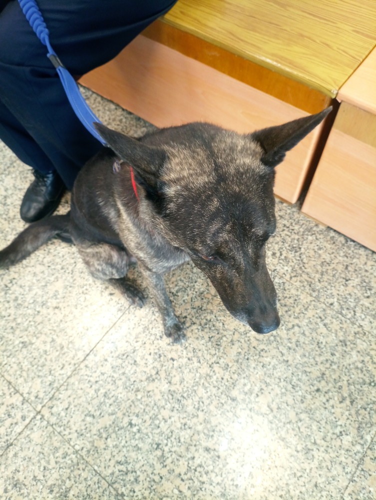 肉丸（台語）的照片