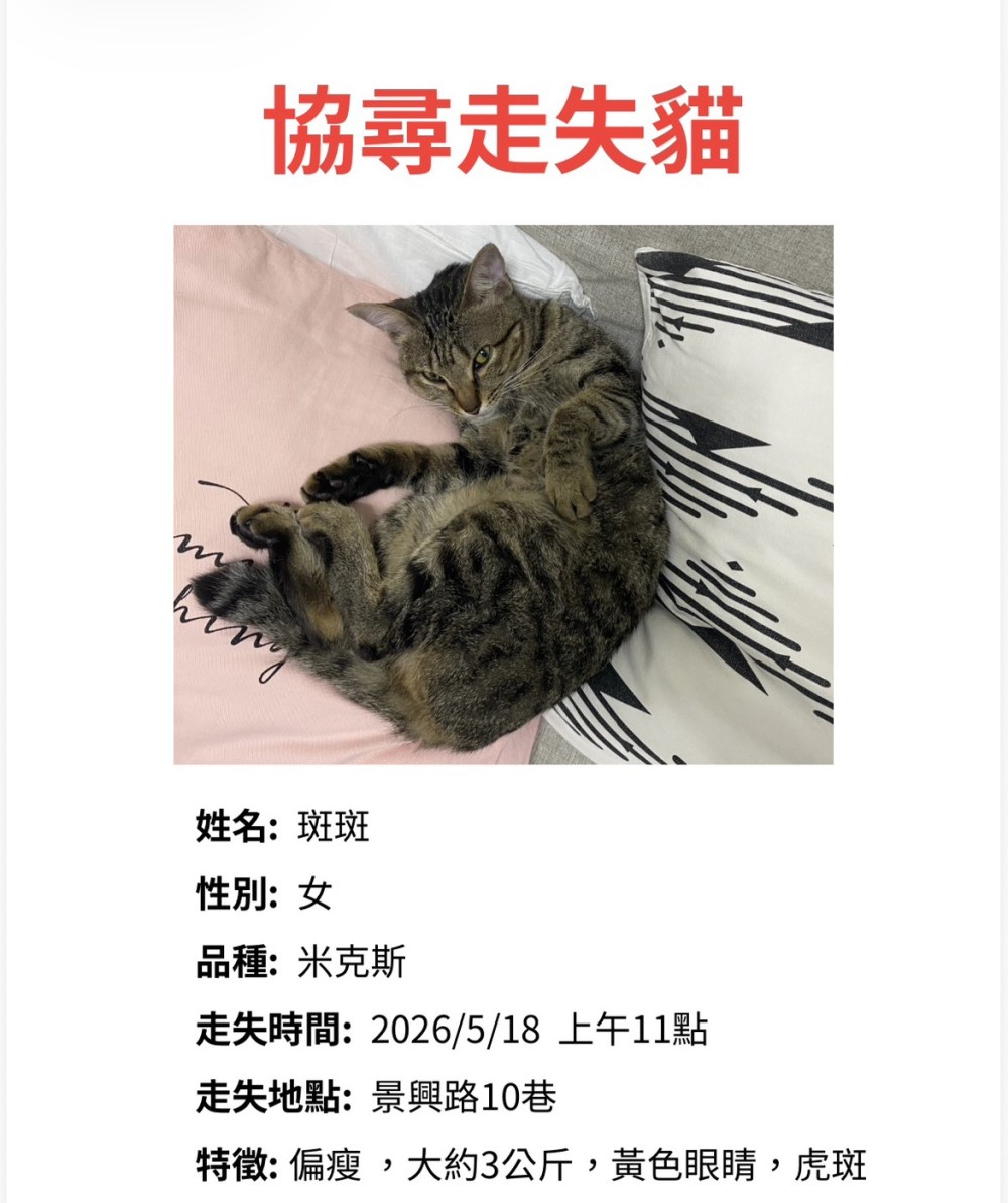 斑斑的照片