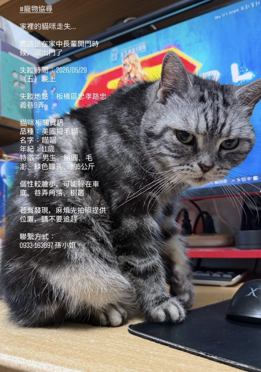 喵喵的照片
