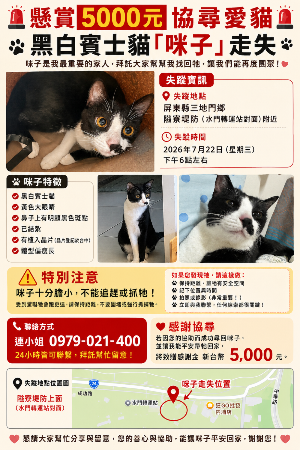 咪子的照片