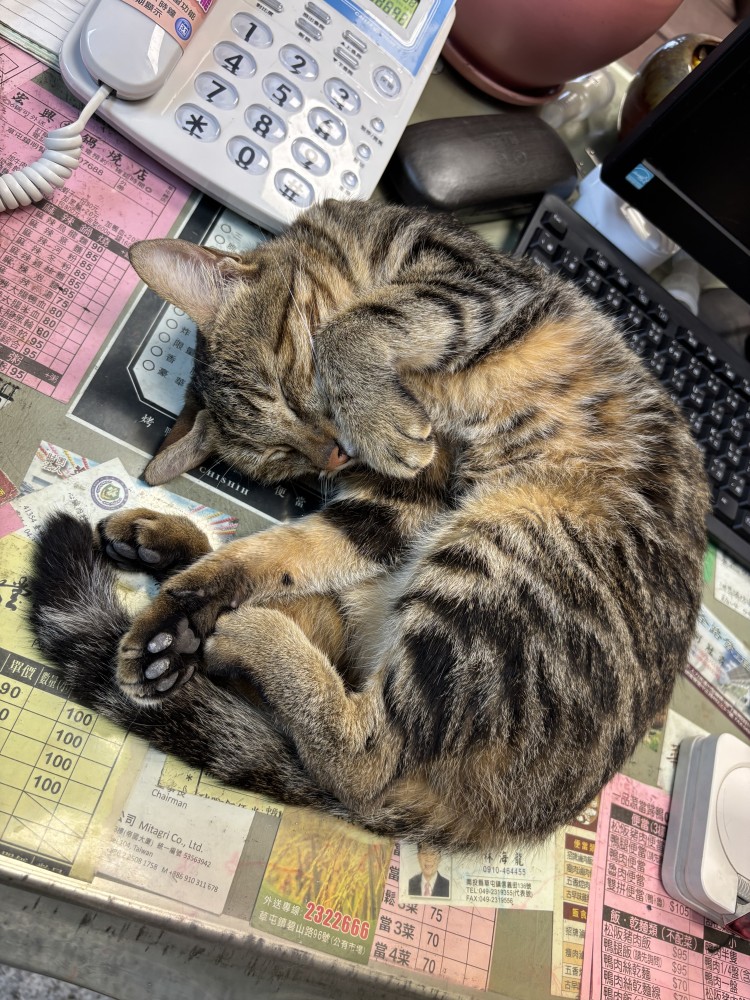 甜甜的照片