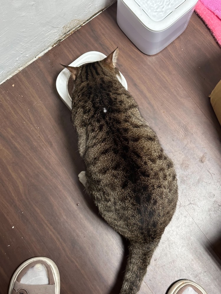 公主的照片