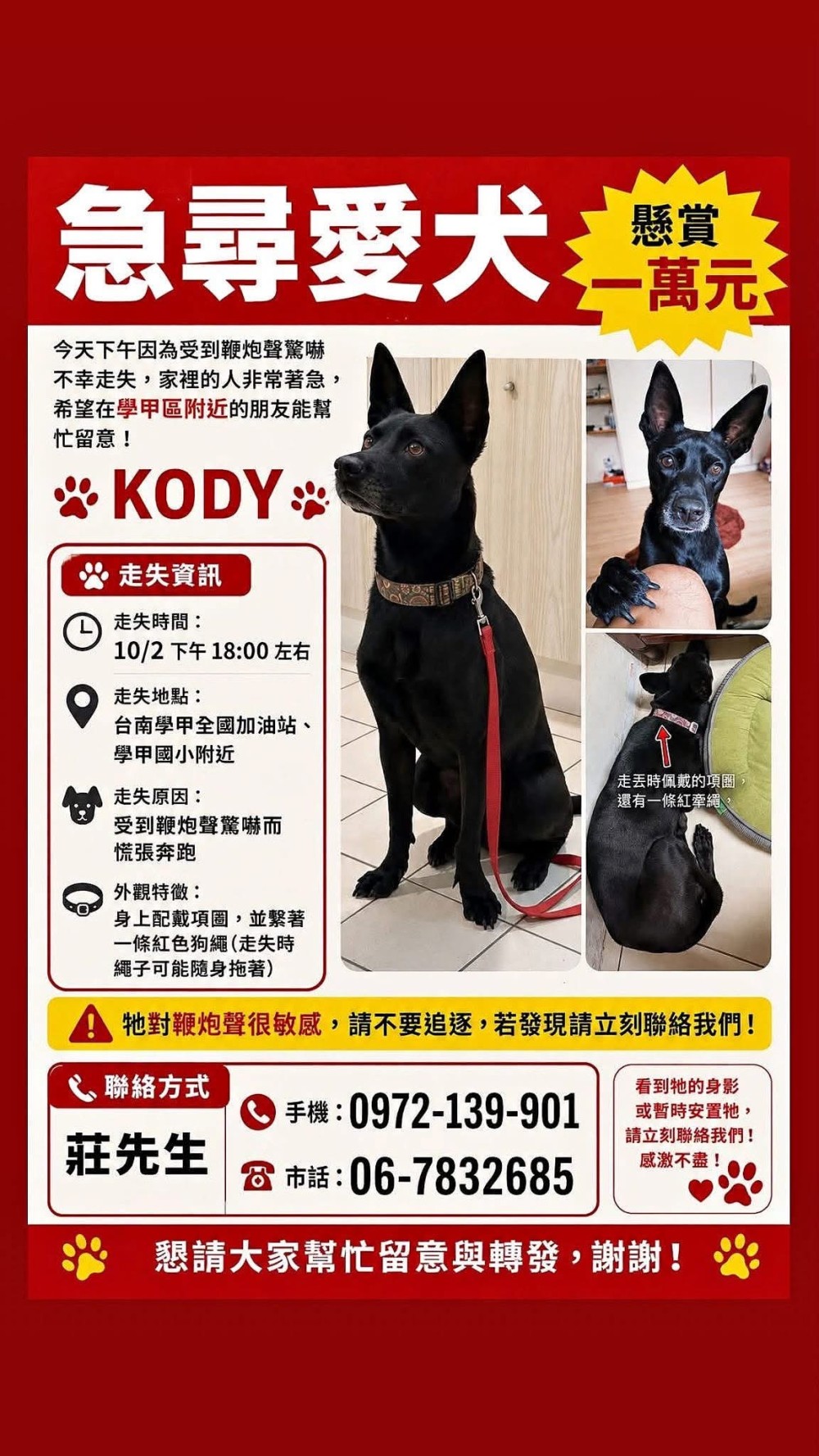 Kody的照片
